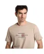 T-shirt Homme Script Flag Regular