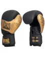 Gants de boxe Unisexe GANT ENTR/COMPET EV1 Noir