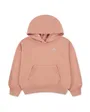 Sweat à capuche Fille JDG WJ BRKN FT PO HOODIE Rose
