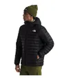 Sweat À Capuche Homme Terra Peak