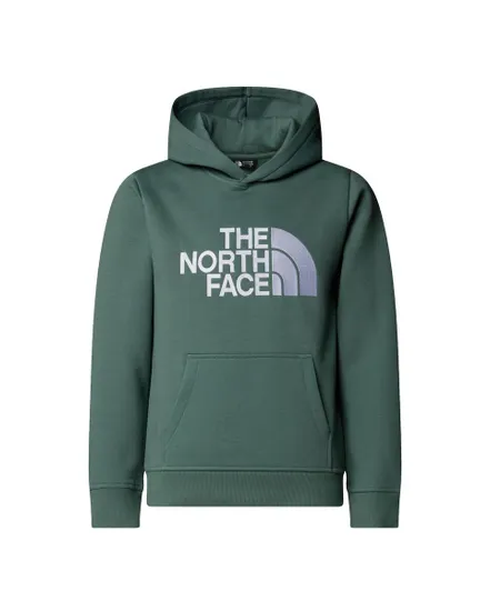 Sweat à capuche Enfant B DREW PEAK P/O HOODIE Vert