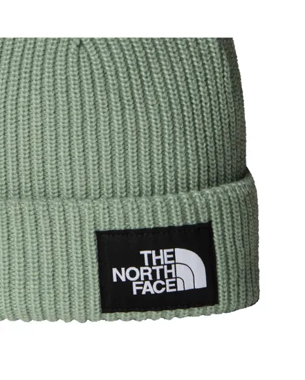 Bonnet SALTY LINED BEANIE Vert