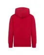 Sweat à capuche Garçon MJ ESSENTIALS PO HOODIE Rouge