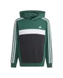 Sweat à capuche Enfant J 3S TIB FL HD Vert