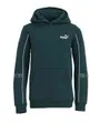Sweat à capuche Enfant ESS TAPE LAYOUT HOODIE FL B Bleu