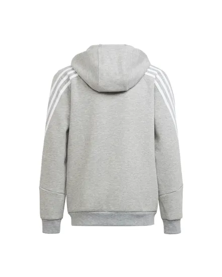 Veste à capuche manches longues Enfant B FI 3S FZ Gris