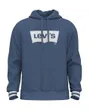 Sweat a capuche manches longues Homme RELAXED GRAPHIC PO Bleu