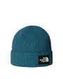 Bonnet SALTY LINED BEANIE Bleu