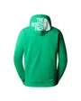 Sweat à capuche Homme M SEASONAL DREW PEAK PULLOVER LIGHT Vert