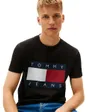 Tee-Shirt Homme Big Flag SS