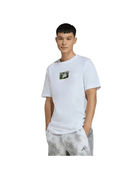 Tee shirt Homme Camo Box T