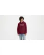 Sweat a capuche manches longues Homme STANDARD GRAPHIC HOODIE Rouge