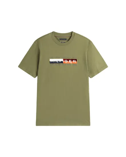 T-shirt col rond Homme TH COLOUR BLOCK GRAPHIC TEE Vert