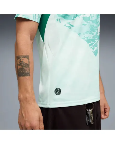 Maillot de football Homme FPF AWAY JERSEY REPLICA Vert