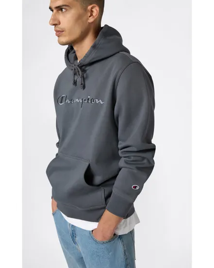 Sweat à capuche Homme Gris