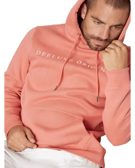 Sweat à capuche Homme BEN FL M