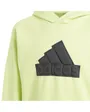 Sweat à capuche Enfant U FI LOGO HD Vert