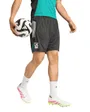 Short Homme LFC EU TR SHO