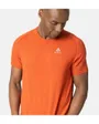 T-shirt manches courtes Homme T-SHIRT CREW NECK S/S ESSENTIAL SEAMLESS Orange