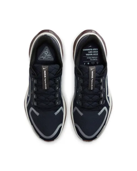 Chaussures de running Femme W AIR ZM PEGASUS 41 GTX Bleu