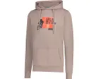 Sweat à capuche Homme GRAPHIC Gris