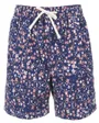 Shorts de surf Homme SAROZ Bleu