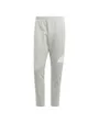 Pantalon de survetement Homme M FI BOS PT Gris