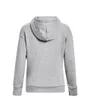 Sweat à capuche Femme ESSENTIAL FLEECE HOODIE Gris