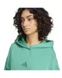 Sweat à capuche Femme W ALL SZN FT HD Vert