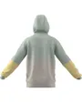 Sweatshirt à capuche manches longues Homme M CB FZ HD Gris