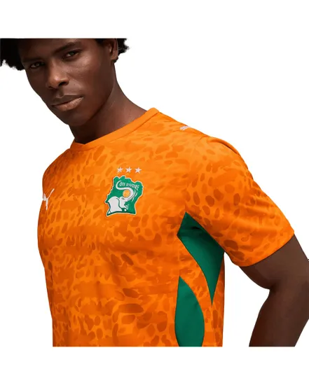Maillot Homme Côte d'Ivoire Domicile Replica