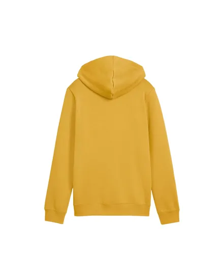 Sweat À Capuche Junior Puma Essentials 2
