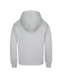 Sweat à capuche Enfant JDG WJ PSG PO HOODIE 23 Gris