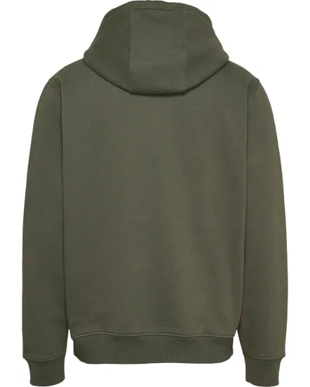 Sweat à capuche Homme TJM REG S FLAG HOODI Vert