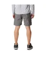 Short Homme SILVER RIDGE UTILITY CARGO SHORT Gris