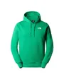 Sweat à capuche Homme M SEASONAL DREW PEAK PULLOVER LIGHT Vert