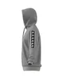 Sweat a capuche manches longues Homme M BL HD Gris