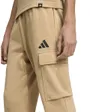 Pantalon Homme Felczy C