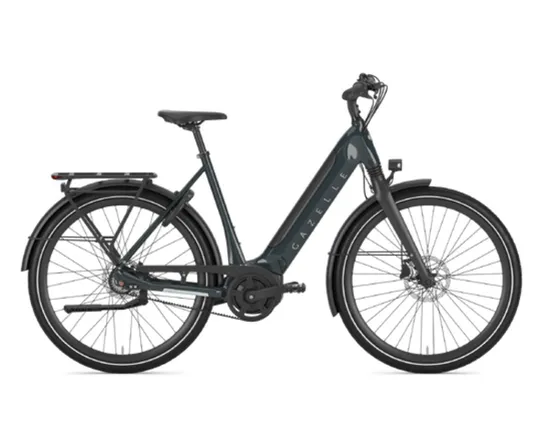 Vélo électrique urbain/trekking Unisexe ULTIMATE C8+ HMB 625WH Vert Pin