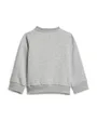 Ensemble de survetement Bébé I BL FL JOG 240 Gris