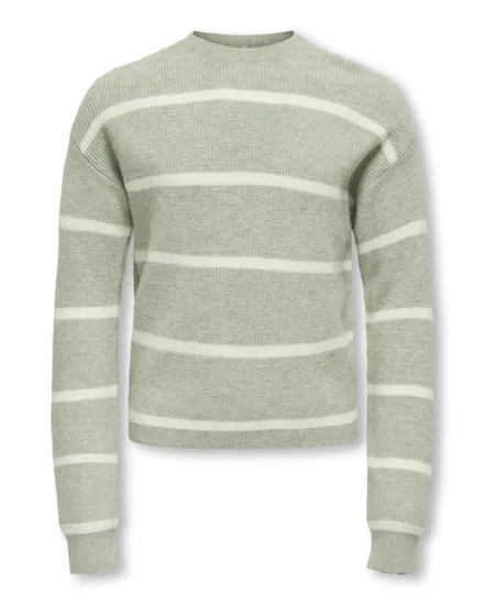 Pull Fille KOGFRANCA LIFE SHORT L/S STRIPE KNT NOOS Gris