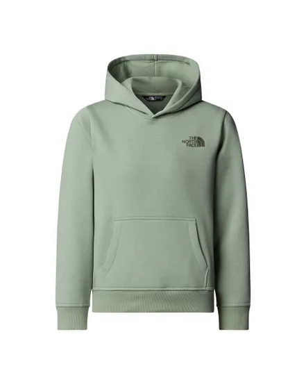 Sweat à capuche Enfant TEEN BOX NSE REGULAR PULLOVER HDIE Vert