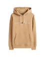 Sweat à Capuche Homme Tommy Logo Hoody