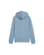 Sweat à capuche Garçon ESS 2 Color Small No