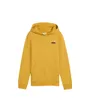 Sweat À Capuche Junior Puma Essentials 2