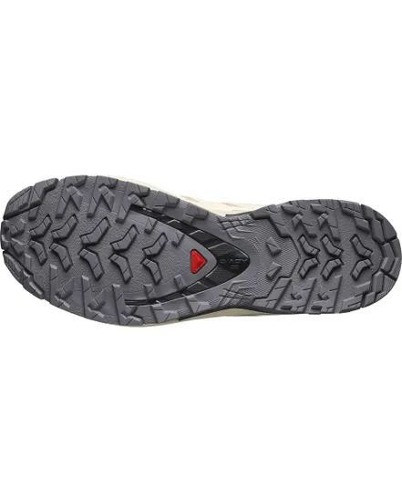 Chaussures de trail Femme SHOES XA PRO 3D V9 GTX W Beige