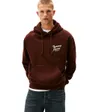 Sweat à capuche Homme RLX NOVELTY GRAPHIC HOODIE Marron