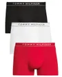 Slips Homme 3P Trunk DTM