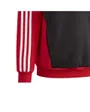 Sweat à capuche Enfant J 3S TIB FL HD Rouge