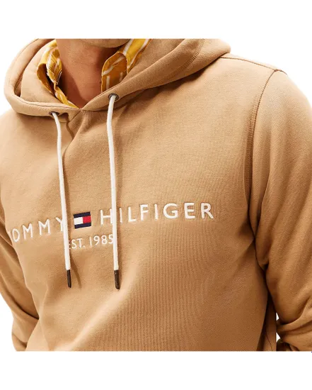 Sweat à Capuche Homme Tommy Logo Hoody